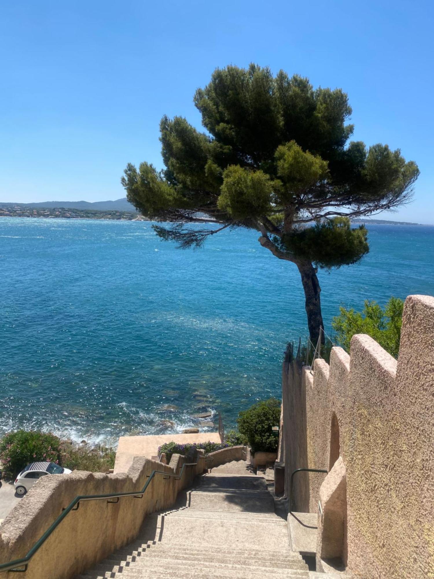 Casa Paloma Leilighet Sanary-sur-Mer Eksteriør bilde